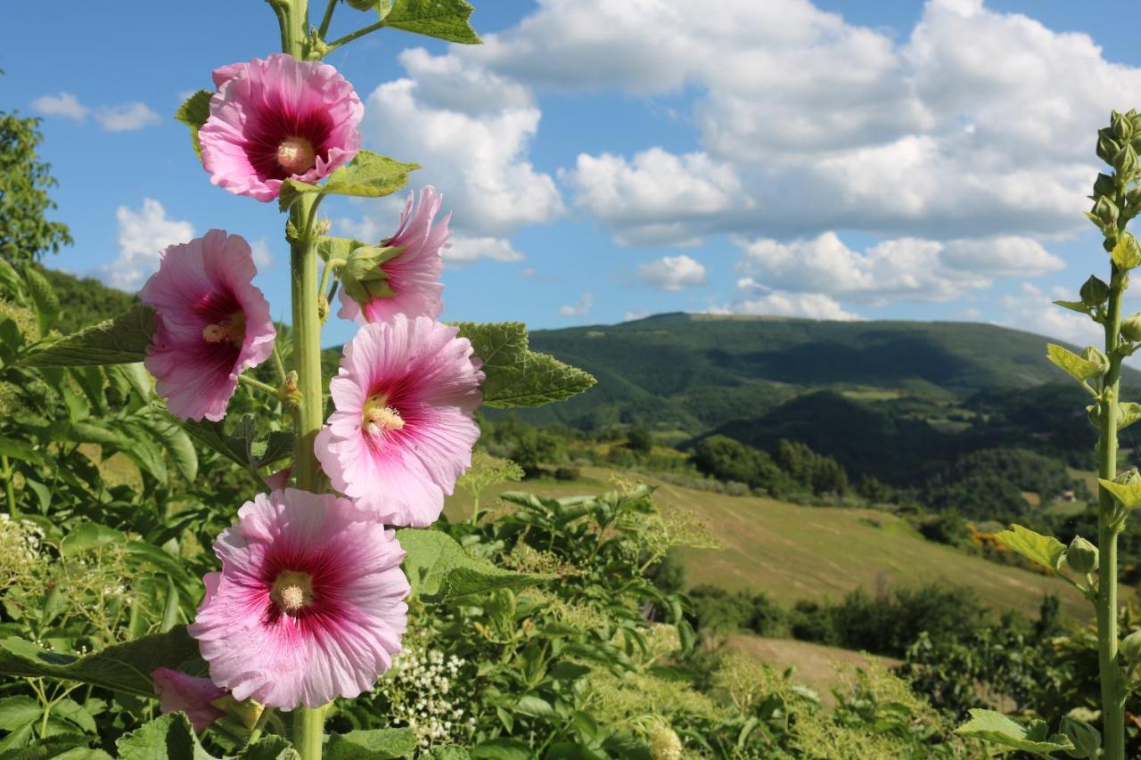 Bed & Breakfast Casa Lisetta Valtopina Екстер'єр фото