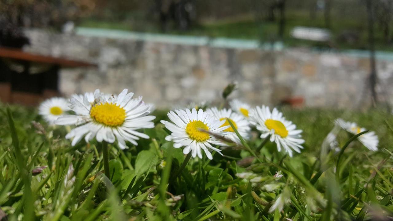 Bed & Breakfast Casa Lisetta Valtopina Екстер'єр фото