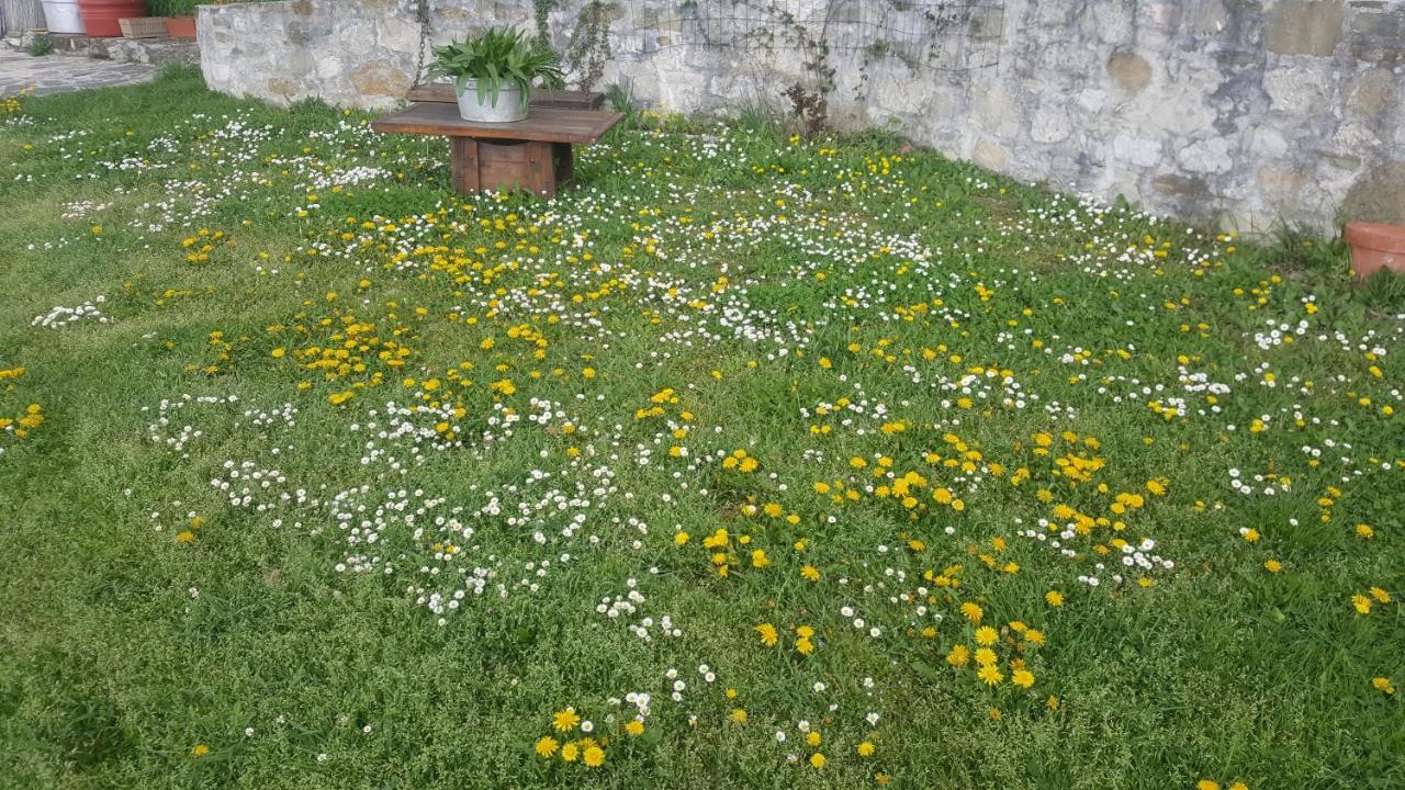 Bed & Breakfast Casa Lisetta Valtopina Екстер'єр фото