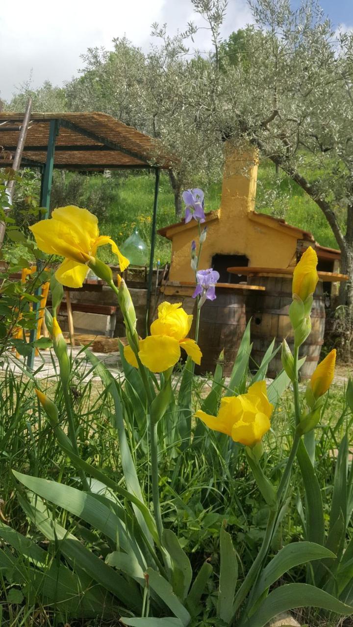 Bed & Breakfast Casa Lisetta Valtopina Екстер'єр фото