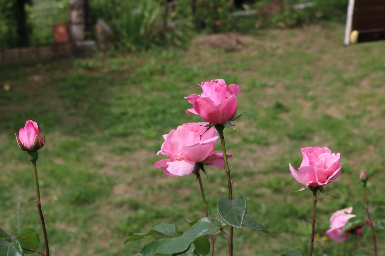Bed & Breakfast Casa Lisetta Valtopina Екстер'єр фото