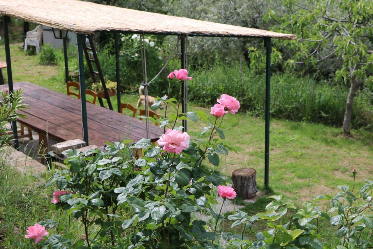 Bed & Breakfast Casa Lisetta Valtopina Екстер'єр фото
