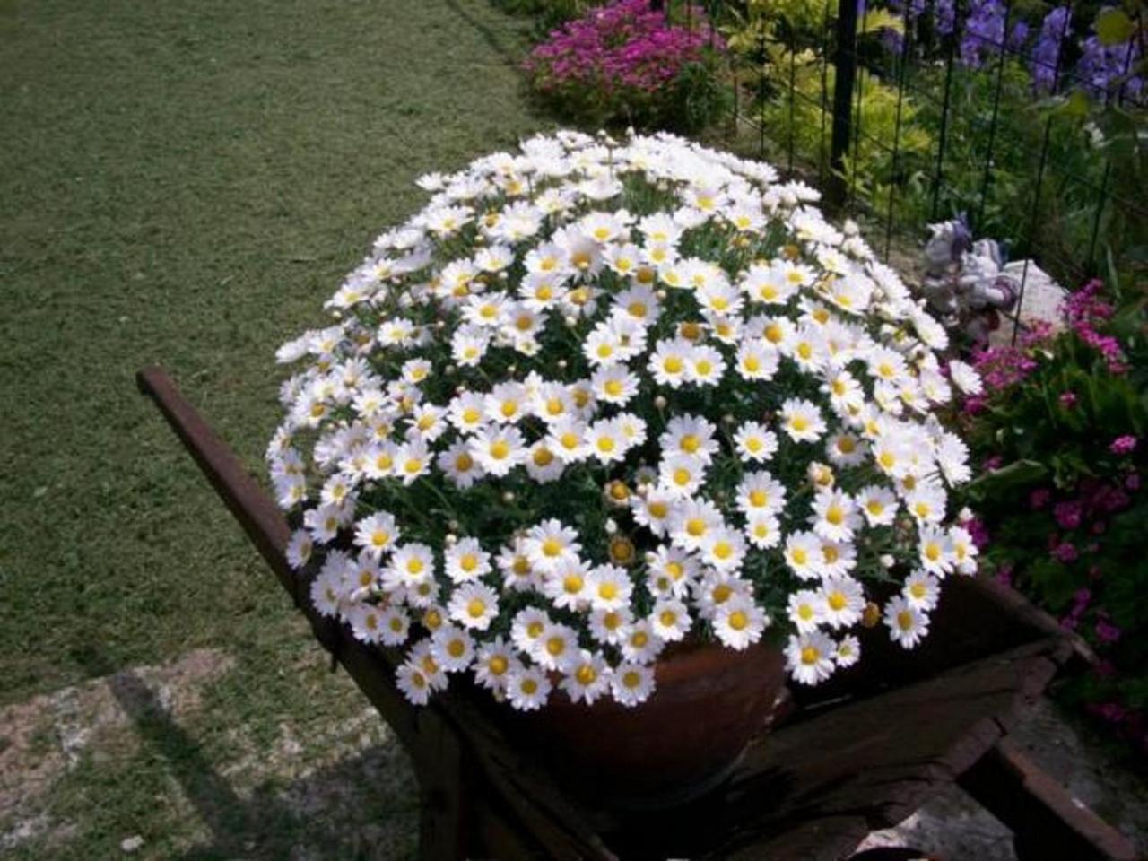 Bed & Breakfast Casa Lisetta Valtopina Екстер'єр фото